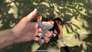 Test thun M72 Pro hạ bìm bịp to đùng,cu vằn,trao trảo #nacaosu #slingshot #mientay