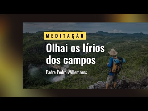 "Olhai os lírios do campo".