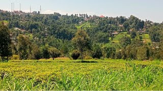 💥#village _ farming