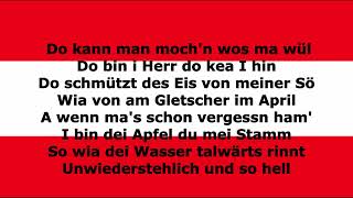 Rainhard Fendrich - I am from Austria - LYRICS