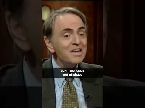 Carl Sagan on God as the Creator | Watchmaker Argument #shorts