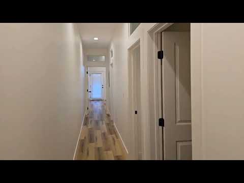 St Elmo(4537) - Video 2 of 2