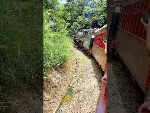 Passeio de Maria Fumaça em Rio Negrinho, Santa Catarina, é realizado pelo Trem da Serra do Mar…