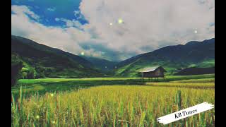 Download lagu Raasavae Unna Nambi | Slowed And Reverb | With Original Voice | mp3 Download lagu Raasavae Unna Nambi | Slowed And Reverb | With Original Voice | mp3