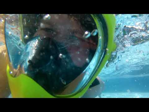 #Baby Shark #Summer #Pool #KidsFun