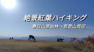 紅葉ハイキング(奈良県 若草山)
