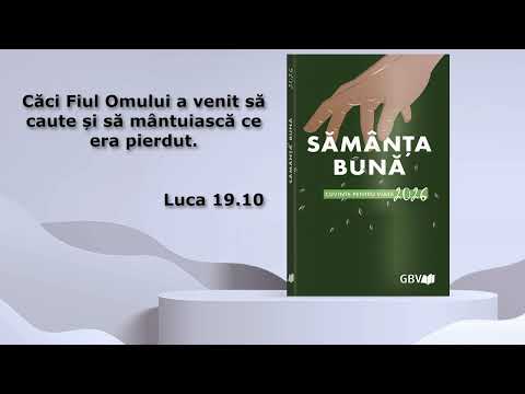 Băiețelul pierdut prin expoziție - luni, 21 septembrie