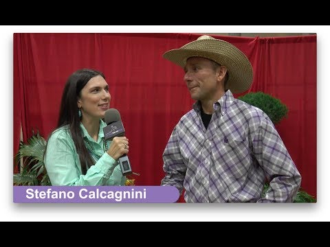 TRC – Stefano Calcagnini