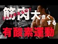 有酸素運動は筋肉を小さくするイメージが強いですが筋肉を大きくするために有酸素運動を必要とする場合もあります。