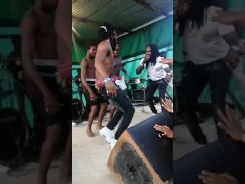 king witje toto live