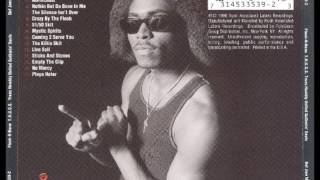 Flesh-N-Bone - Playa Hater