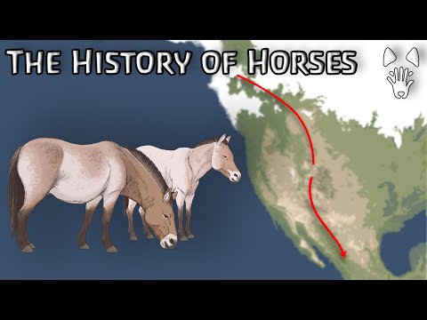 The Domestication and Early History of the Horse | Evolution, Archaeology, and the Americas