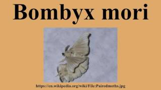 Bombyx mori