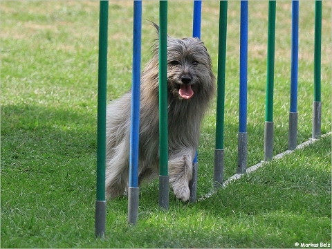 Film-27.06.2015 MCC Mühlacker Eva & Neo A1+Spiel 1/2