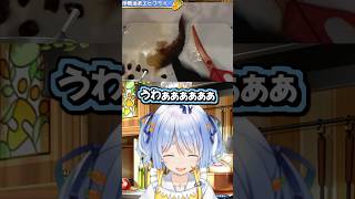 伊勢海老が急に動いてビビり散らかすぺこら