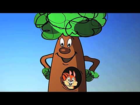 Miniconf and the territory