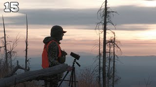 Hill Country Whitetail Deer Hunt | General Season Deer Hunt