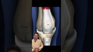 Progressive Spine & Orthopaedics