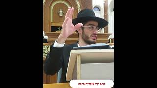 אשכנזי שטבל כלים בשבת אם מותר לו להשתמש בו - ספרדי שהניח מרק על הפלטה בשבת - הרב ינון עובדיה ברכה (הרב ינון עובדיה ברכה) - התמונה מוצגת ישירות מתוך אתר האינטרנט יוטיוב. זכויות היוצרים בתמונה שייכות ליוצרה. קישור קרדיט למקור התוכן נמצא בתוך דף הסרטון