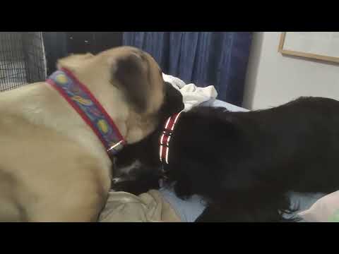 Bonus sports day video!