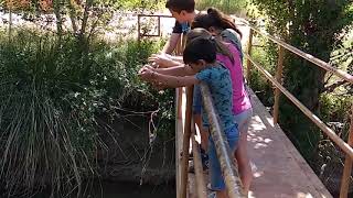 Ademuz lanzando piedras al río