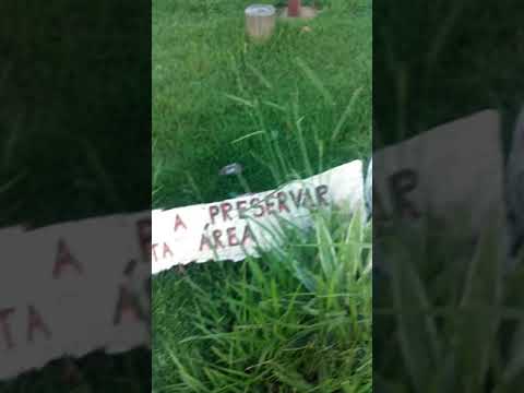 The Golda Guest House