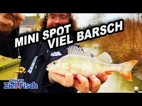 CREATURE BAITS ON POINT! PERCH on the SHEET PILEBOARD! Our goal is fish - Fishing school with Jan...