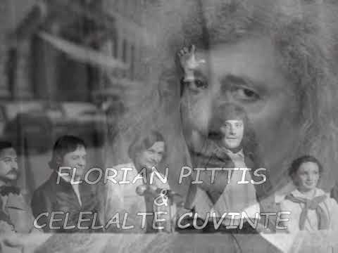 Celelalte Cuvinte & Florian Pittiș - Fără Cuvinte