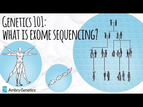 What is Exome Sequencing? | Genetics 101 | Ambry Genetics