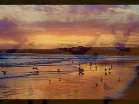 Selfish - Sunset Daze