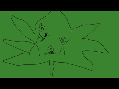 WALKA Z LEŚNICZYM NA JAMAJCE #fundacja420