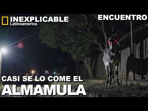 "¡REAL! El Perro que ENFRENTÓ a la Almamula y Salvó a un Joven (Relato ATERRADOR)"