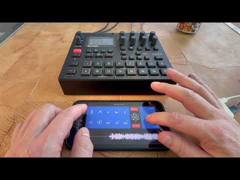 Molli Looper mangling the Elektron Syntakt