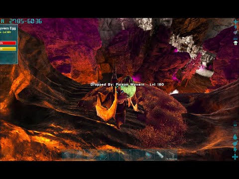 Mega E4 Max Level Poison Egg!, Item Collector