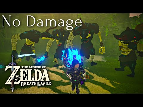 [NO DAMAGE] THE TRIAL OF THE UNDEAD | The Legend of Zelda: Breath of the Wild