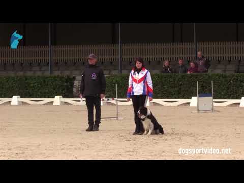 Selection - Jana Grešová + Hummer Mintaka/Border Collie - Czech Republic