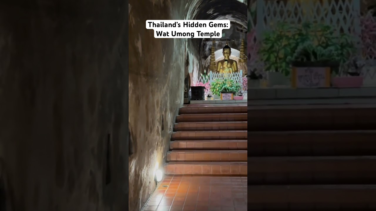 YouTube Short thumbnail