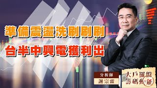 準備震盪洗刷刷刷 台半中興電獲利出｜大戶羅盤籌碼動能 ｜謝宗霖 (圖)