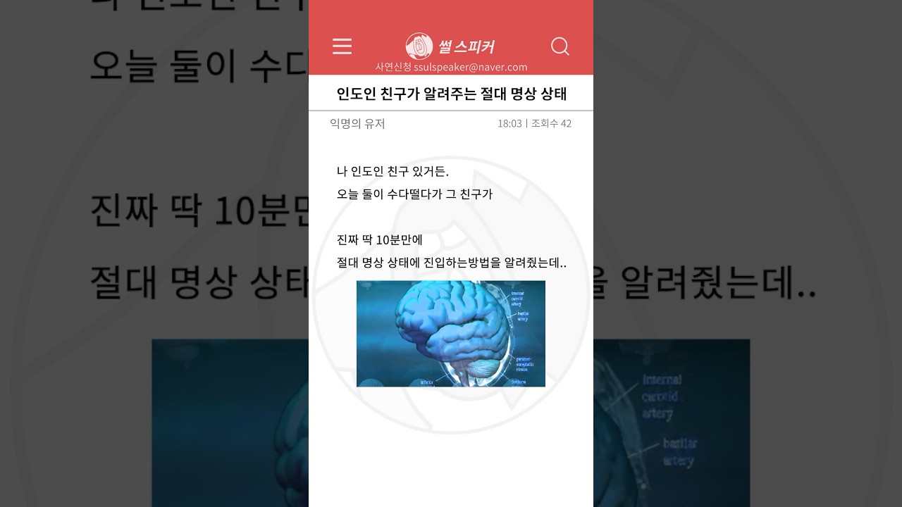 사연) 인도인 친구가 알려주는 절대 명상상태