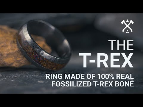 Unleash Your Inner T-Rex: The Ultimate Dino Bone Band