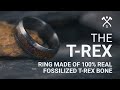 Unleash Your Inner T-Rex: The Ultimate Dino Bone Band