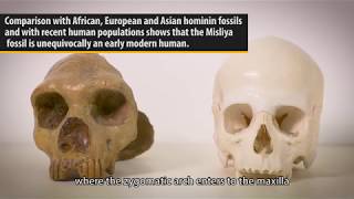 Oldest Person Out of Africa and in the Meliya Cave, Israel