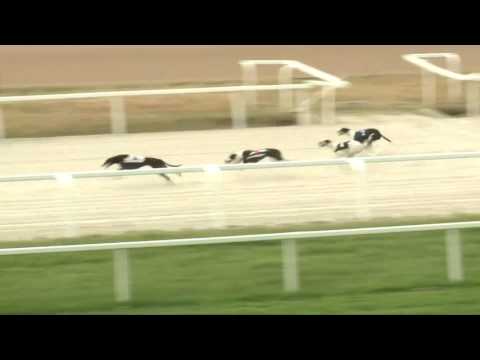 2017.06.16. 3. futam - Agár