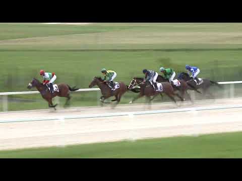 2020.07.26. 04. futam - NYERETLENEK VERSENYE (V.kat.) I.rész (szintetikus pálya)