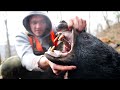 Bear Hunting With Walmart S Cheapest Rifle
