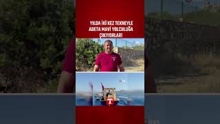Yılda İki Kez Tekneyle Adeta Mavi Yolculuğa Çıkıyorlar! #Shorts