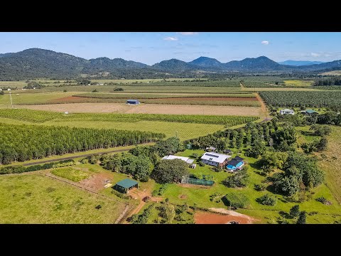 17 Watson Road, Bartle Frere, QLD 4861, 2 Kuwarto, 2 Banyo, Lifestyle Property