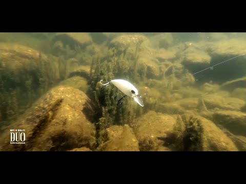 Lure Masterclass: Realis Crank M65 8A - How To