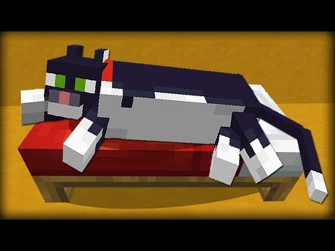 ✔ Minecraft: 25 Things You Didn't Know About Cats