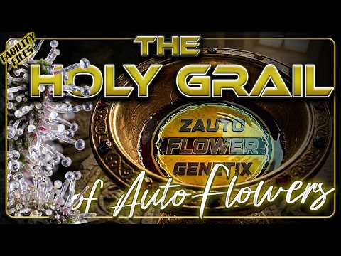 Elite Auto Flowers - The NEW Standard